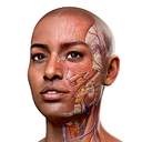 Complete Anatomy - Learn in 3D app icon