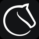 Lichess app icon