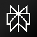 Perplexity - Ask Anything app icon