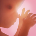 Pregnancy + | Tracker App app icon