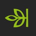 Ancestry: Family History & DNA app icon