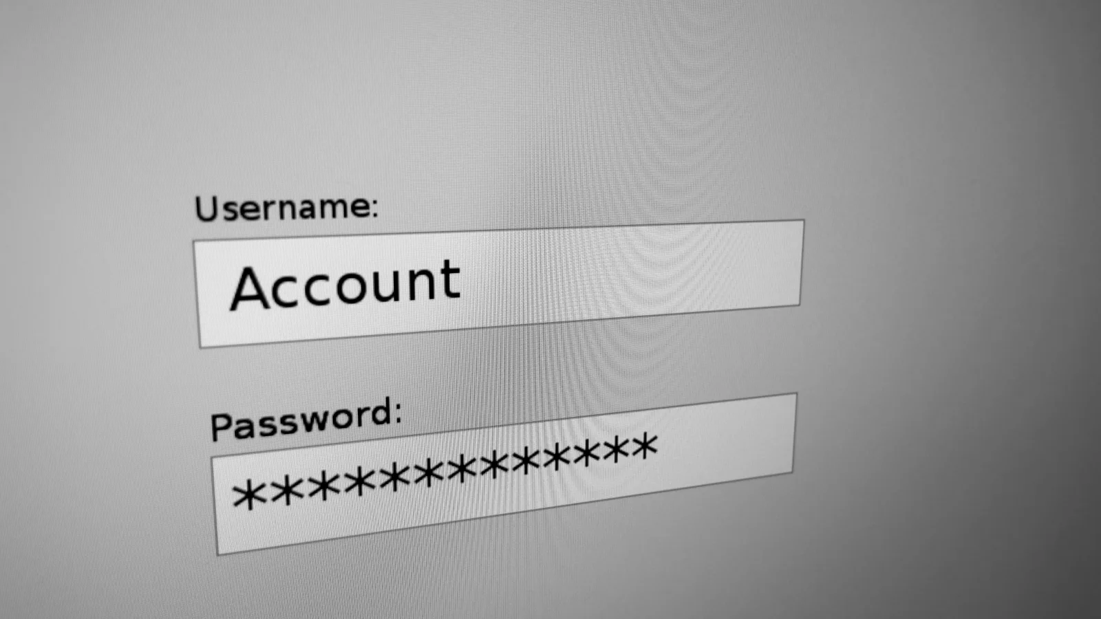 Computer screen showing a username field and a masked password field