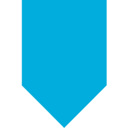Arcserve logo