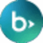Blackbaud Raiser's Edge logo