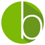 bLoyal logo