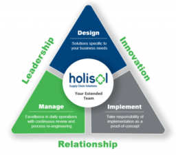 Holisol logo