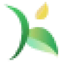 Krishify logo