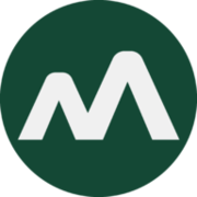 Money View logo