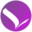 Wings ERP logo