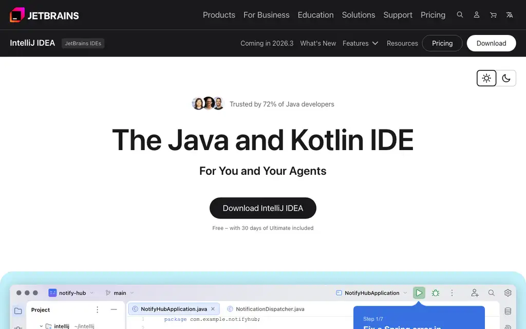 JetBrains IntelliJ IDEA website homepage screenshot